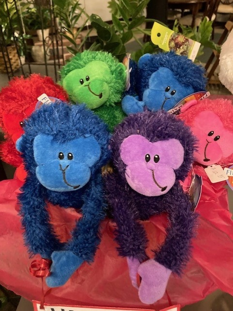 Rainbow monkeys